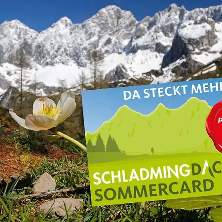 Apartment Bergidyll 1 Gartenwohnung