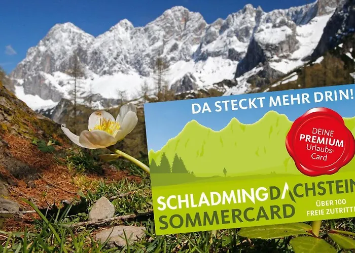 Appartement Bergidyll 1 Gartenwohnung